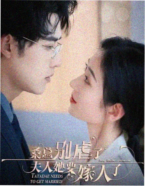 九霄剑歌 小说封面